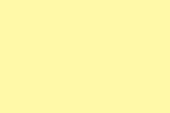 204 - CITRON YELLOW